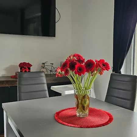 Spokojny Zakatek Apartment Ustron